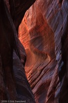 buckskin, canyon, wonderful, glow, shades, 